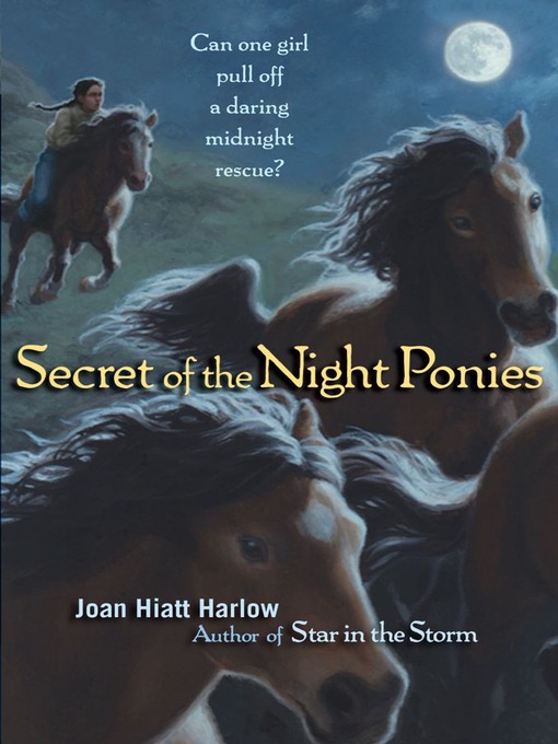 Title details for Secret of the Night Ponies by Joan Hiatt Harlow - Wait list